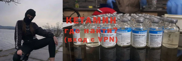 трава Белокуриха