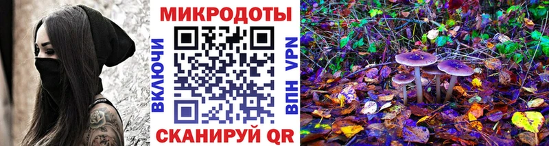 как найти закладки Южноуральск МЕГА Псилоцибиновые грибы Psilocybe